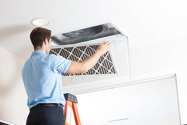 Best Furnace Cleaning in Mount Clemens, MI
